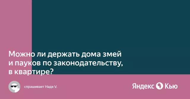 Как держать пауков в органическом пути