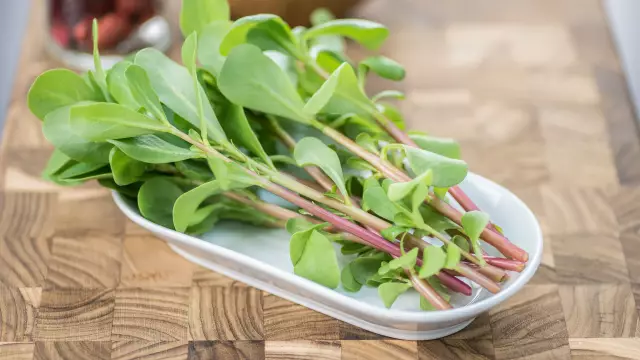 Как убить Purslane