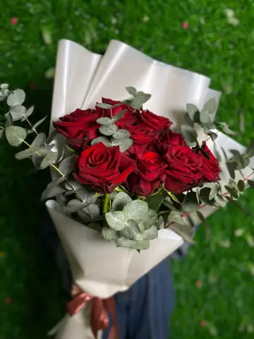 Как убить красных бархатных муравьев