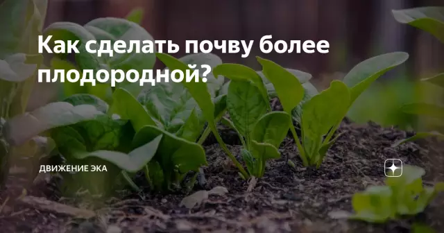 Как сделать бесплодную землю плодородной
