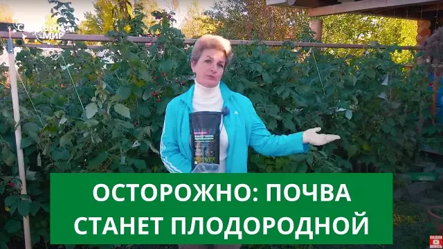 Как сделать агент для смачивания почвы