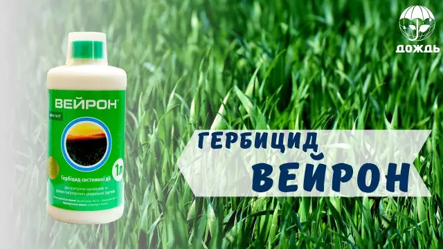 Как смешивать гербицид