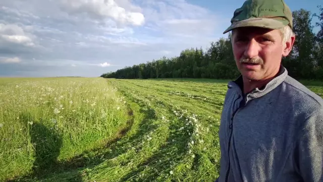Как травить траву перед сильным дождем