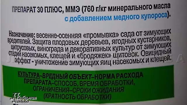 Как предотвратить появление червей на ваших яблочных деревьях