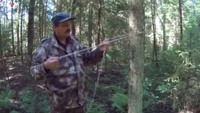 Как закрепить веревку на дереве