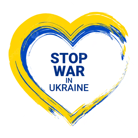 Как остановить птицу от окунания