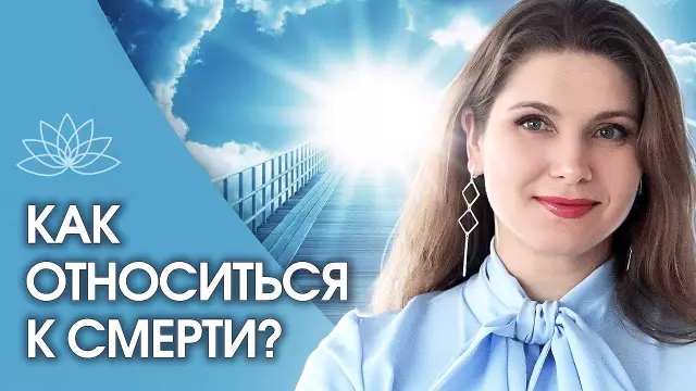 Как относиться к двору для термитов
