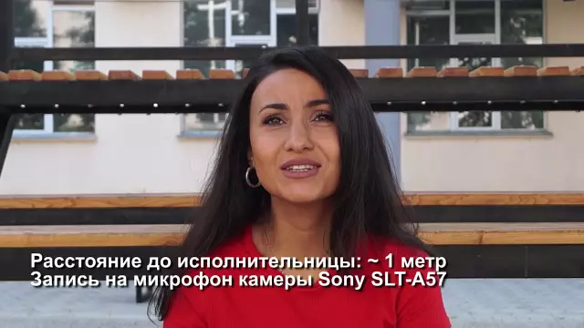 Как устранить неисправность микрофона Panasonic 1200 Genius