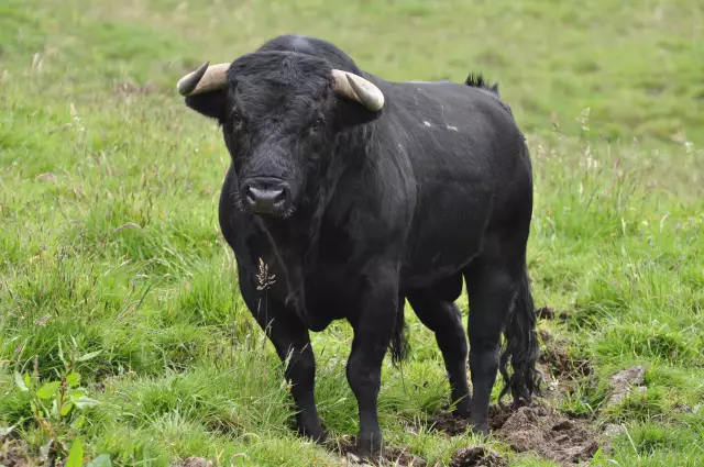 Как устранить таймер спринклера Toro