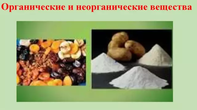 Неорганические и органические компоненты в почве