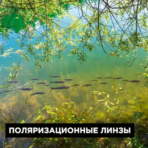 Мои очки пахнут, как рыба, после мойки в посудомоечной машине