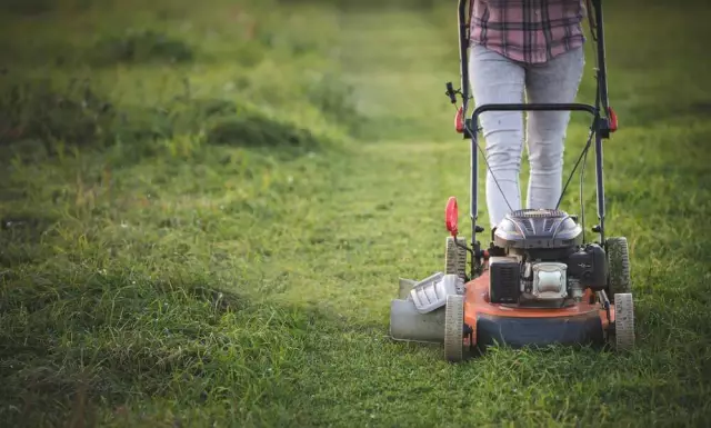 Мой Stihl 250 Trimmer Backfires при запуске