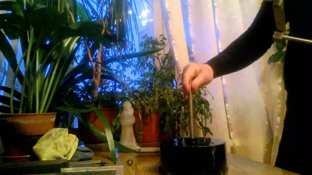 Части точилки для карандашей