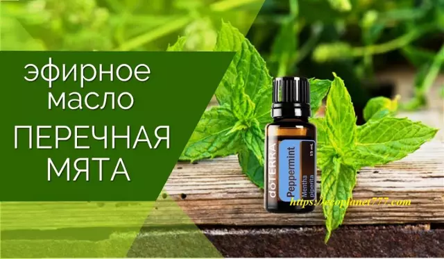 Масло перечной мяты для борьбы с муравьями