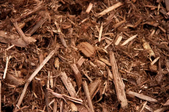 Сосна Vs. Cedar Mulch