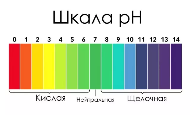 Уровни pH почвы, которые привлекают бурундуки