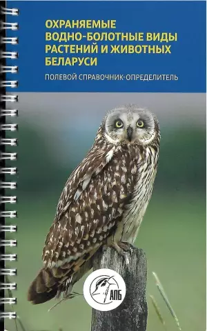 Болотные кулеры и пресс-формы