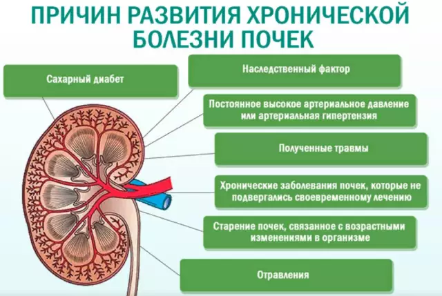 Симптомы болезни в траве Сент-Августин