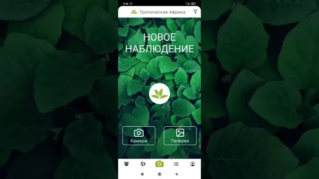 Идентификация растений томатов