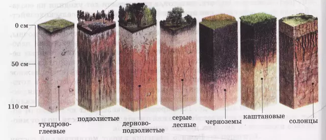 Виды почв в штате Индиана