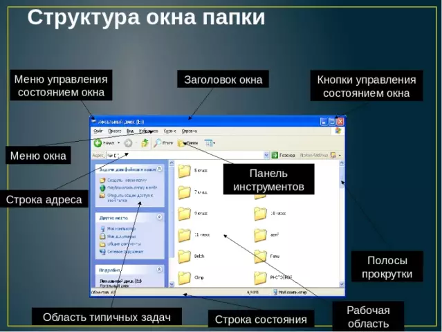 Типы ос и шершней