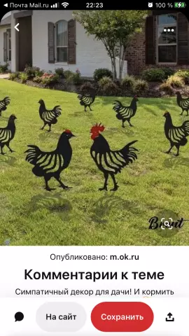 Что животные копают мой задний двор?