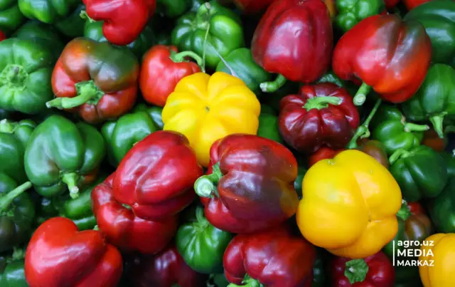 Каковы недостатки вращения сельскохозяйственных культур?