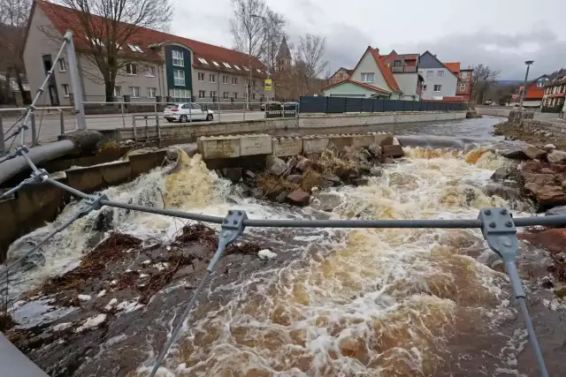 Что вызывает хлопья в диспенсере для воды в холодильнике?