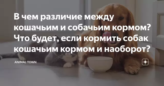 В чем разница между сорняком и кормом и строителем газона?