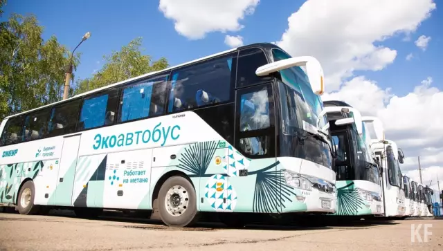 Какой вид стойки для гамака наиболее безопасен?