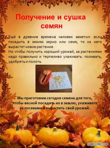 Когда посадить травяное семя в Нью-Джерси