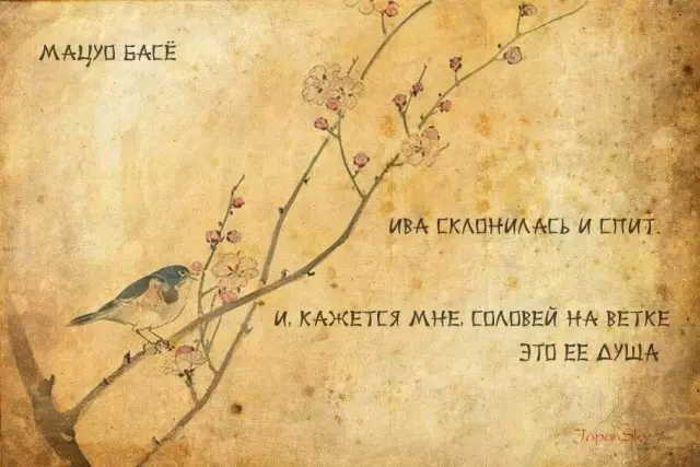 Почему там летают на моем крыльце?