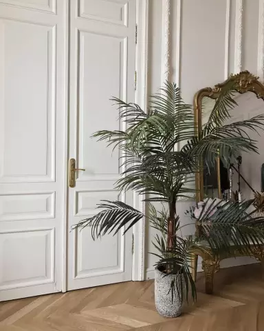 Фэн-шуй Советы о том, где повесить фотографии