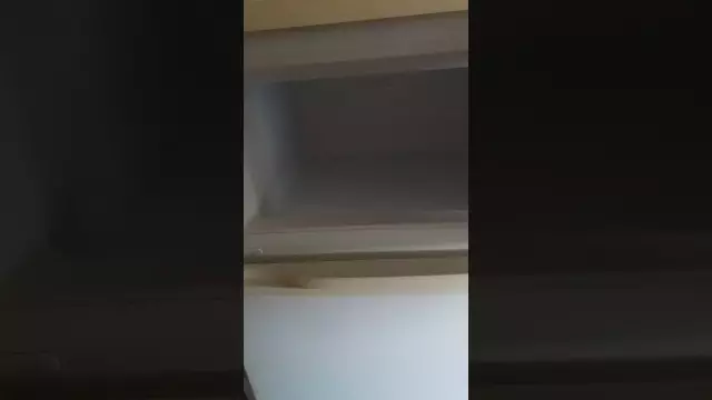 Как часто требуется размораживание холодильника?