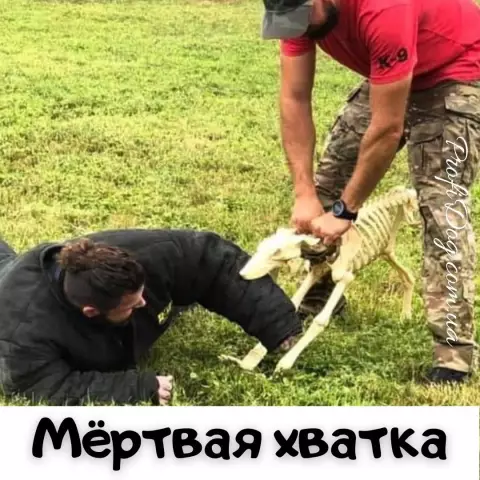 Как выбрать мебель, чтобы идти с настилом из твердых пород дерева