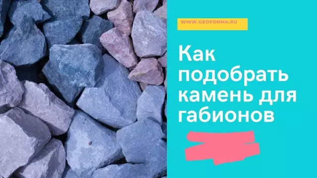 Как выбрать цвет стены для дневного ухода
