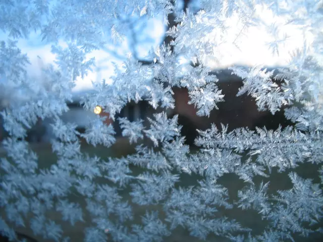 Как использовать окна Frost Glass