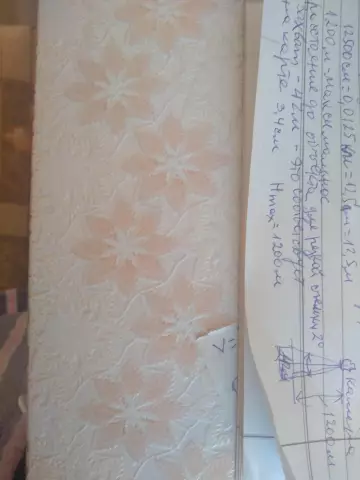 Как получить снимок из стекла