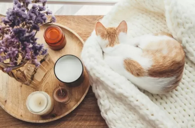 Как удалить воск из горелки Scentsy