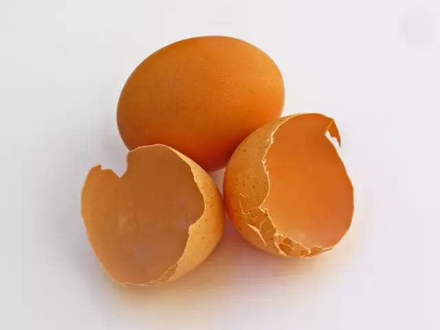 Как использовать краску Eggshell
