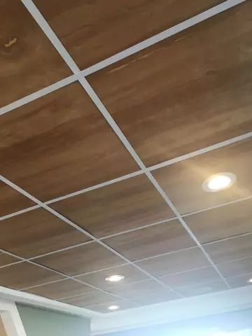 Идеи для Ugly Dropped-Ceiling Tiles