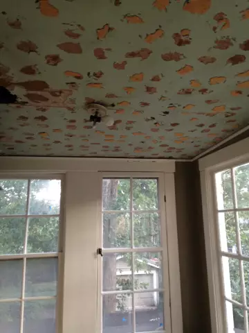 Идеи для Hide Bad Ceilings