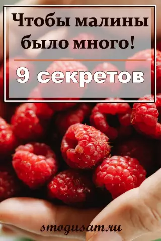 Правильная высота мантии