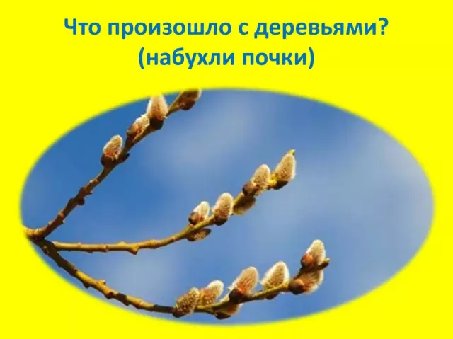 Какие краски подходят для зеркал?